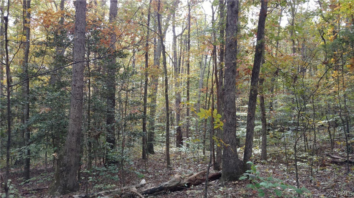 2984 Broadstreet Road Gum Spring, VA 23065 - Photo 13 of 25