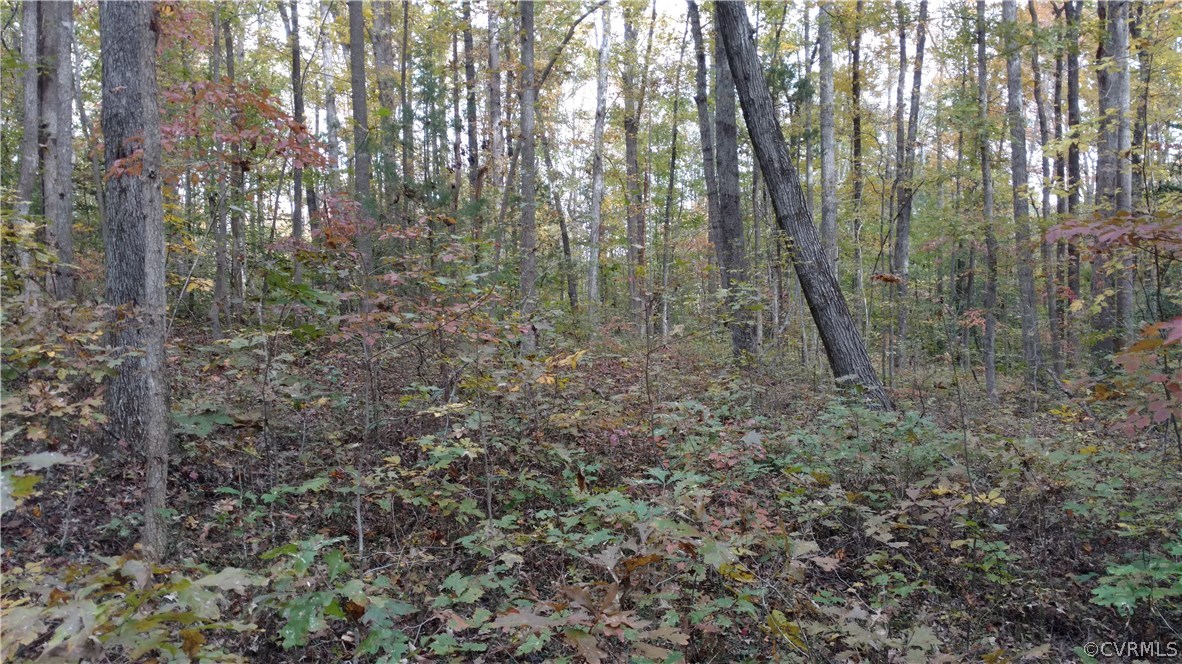 2984 Broadstreet Road Gum Spring, VA 23065 - Photo 15 of 25