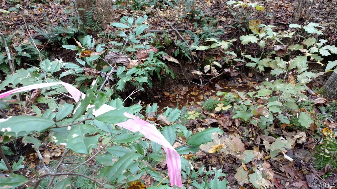 2984 Broadstreet Road Gum Spring, VA 23065 - Photo 21 of 25