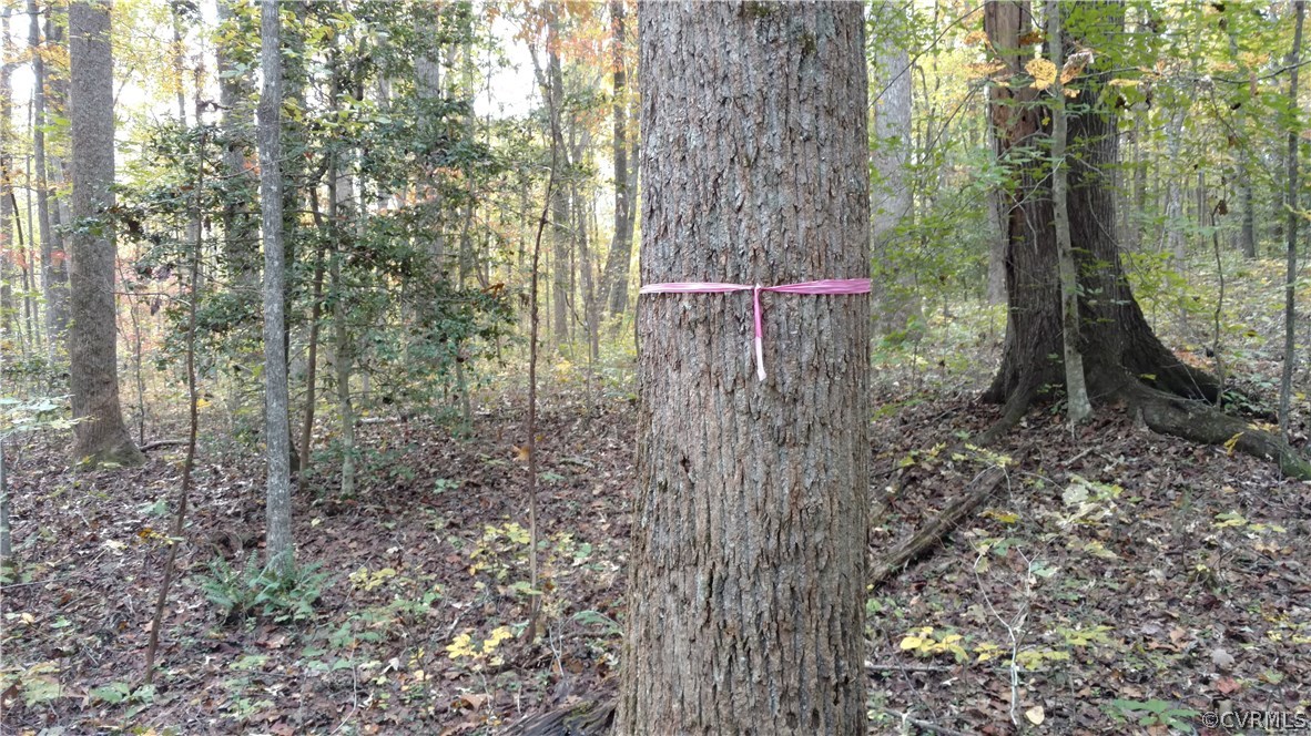 2984 Broadstreet Road Gum Spring, VA 23065 - Photo 24 of 25