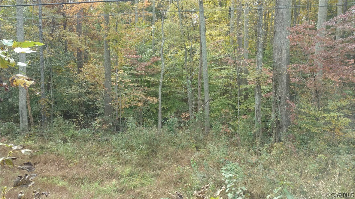 2984 Broadstreet Road Gum Spring, VA 23065 - Photo 4 of 25