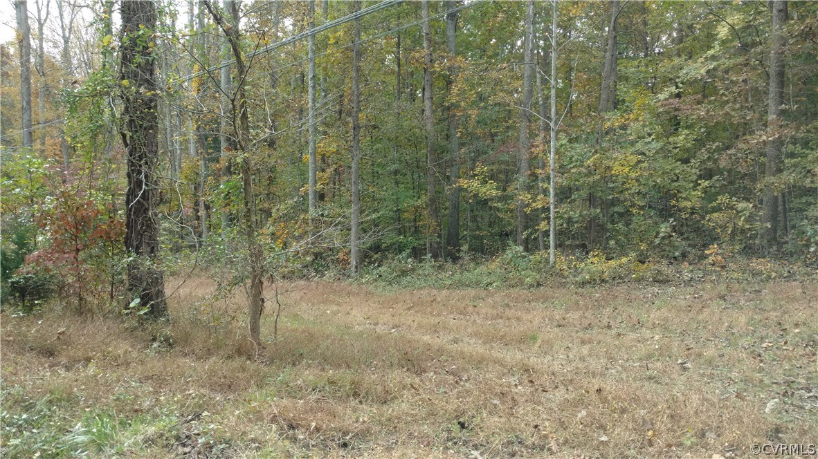 2984 Broadstreet Road Gum Spring, VA 23065 - Photo 5 of 25