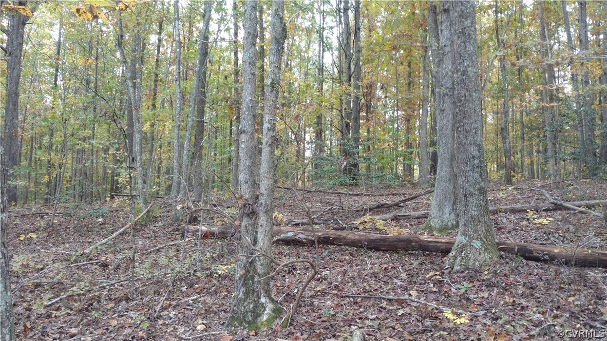 2984 Broadstreet Road Gum Spring, VA 23065 - Photo 7 of 25