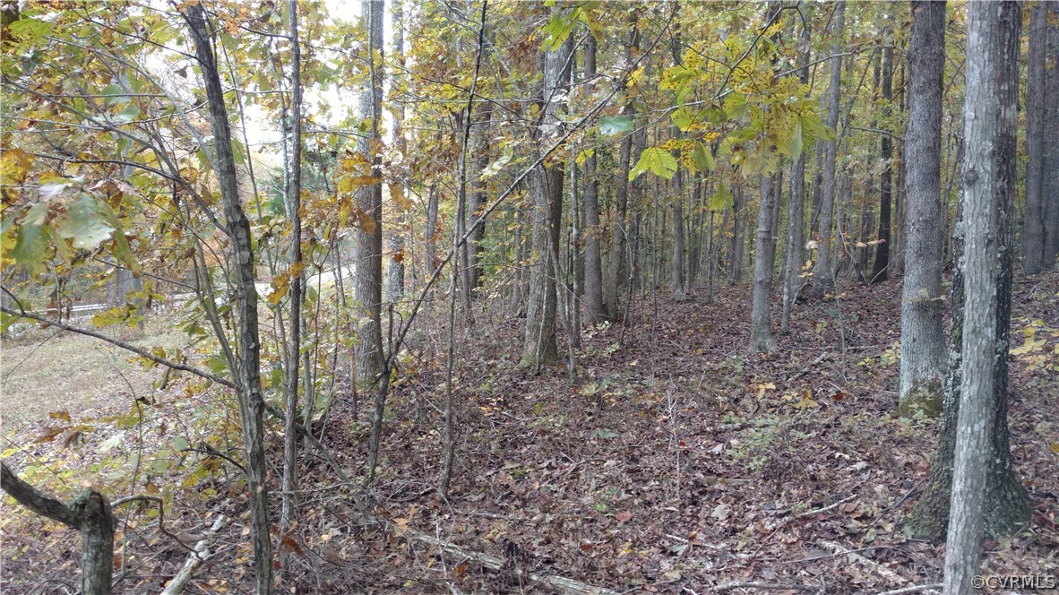 2984 Broadstreet Road Gum Spring, VA 23065 - Photo 8 of 25