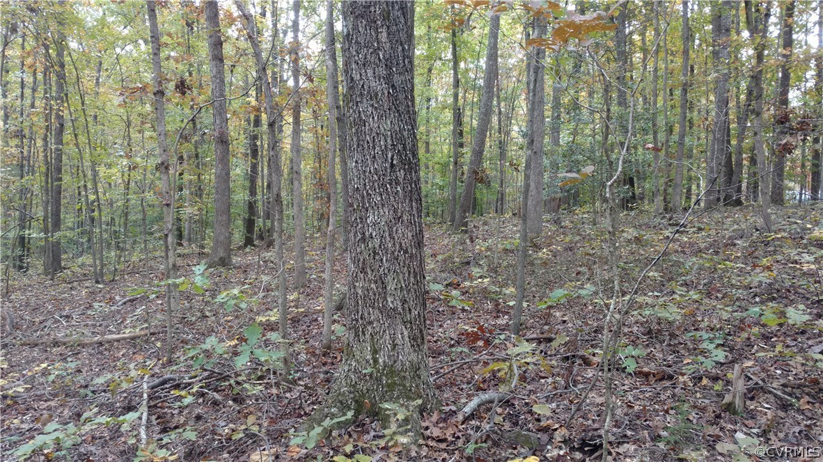 2984 Broadstreet Road Gum Spring, VA 23065 - Photo 9 of 25