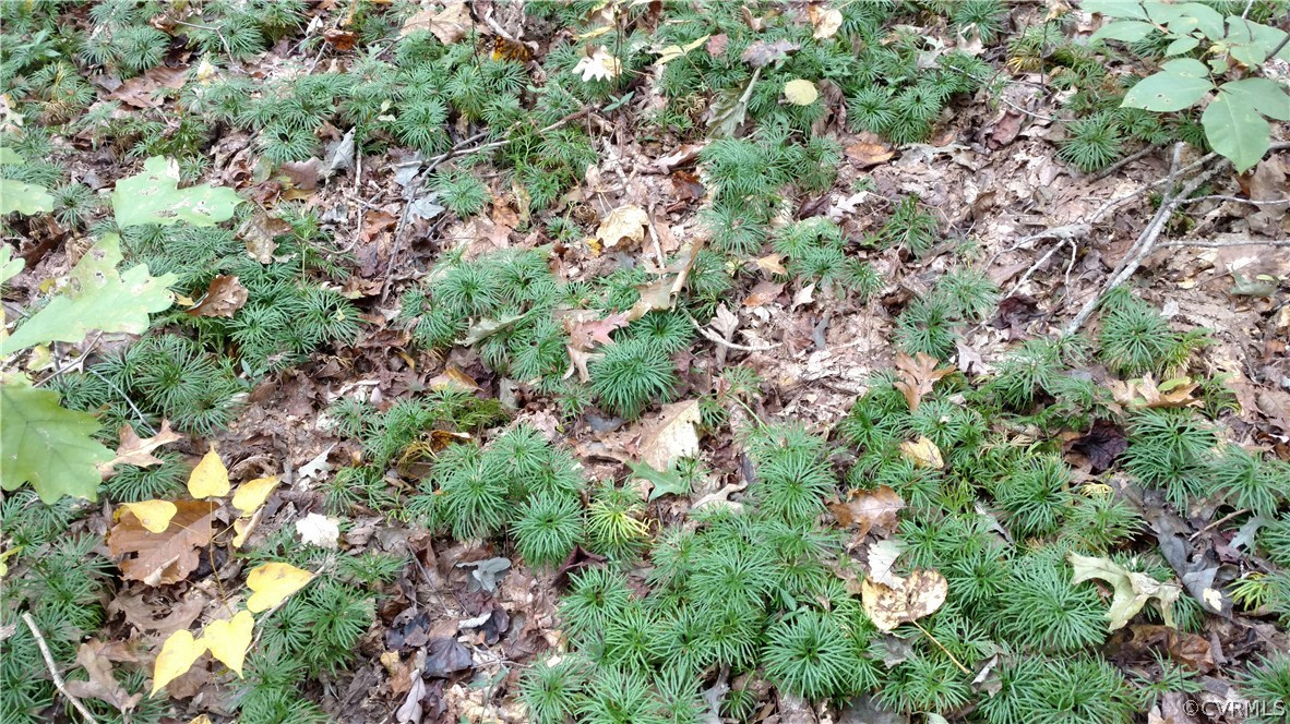 2984 Broadstreet Road Gum Spring, VA 23065 - Photo 10 of 25