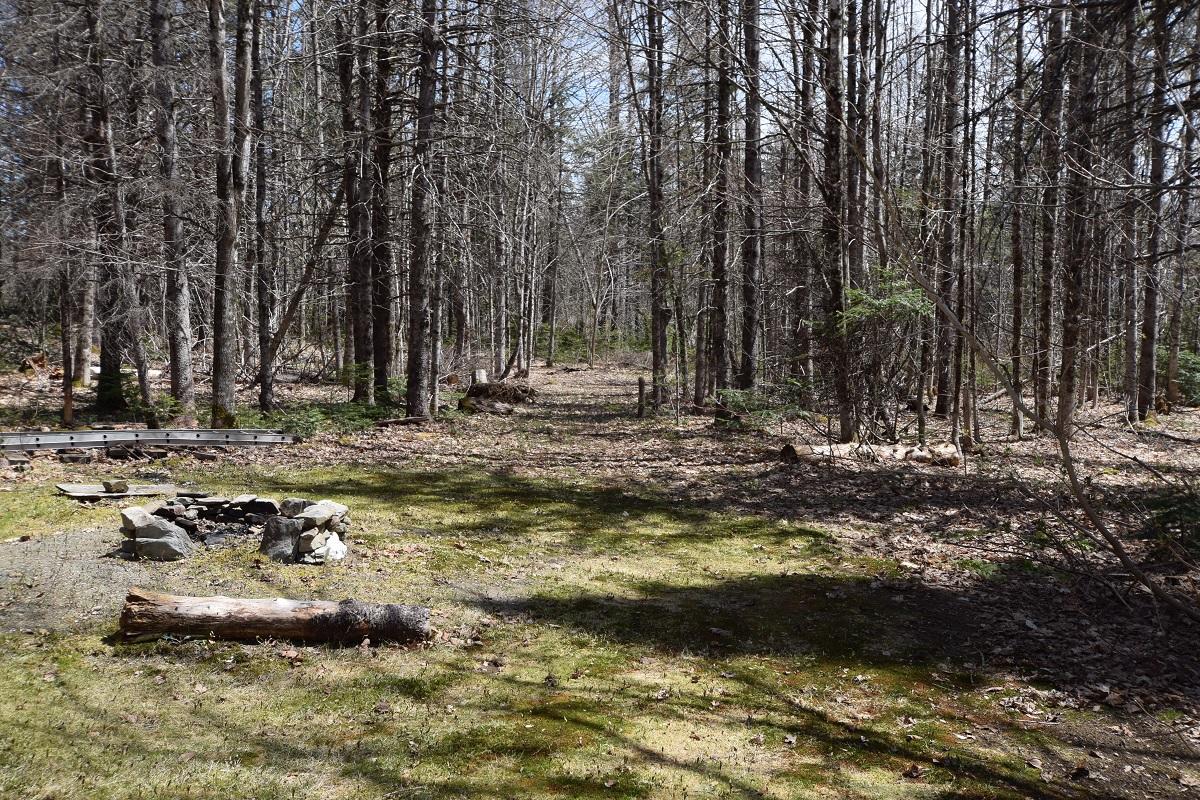 666 NORTH Rd Mount Mount Chase, ME 04765 - Photo 11 of 30 Trails...