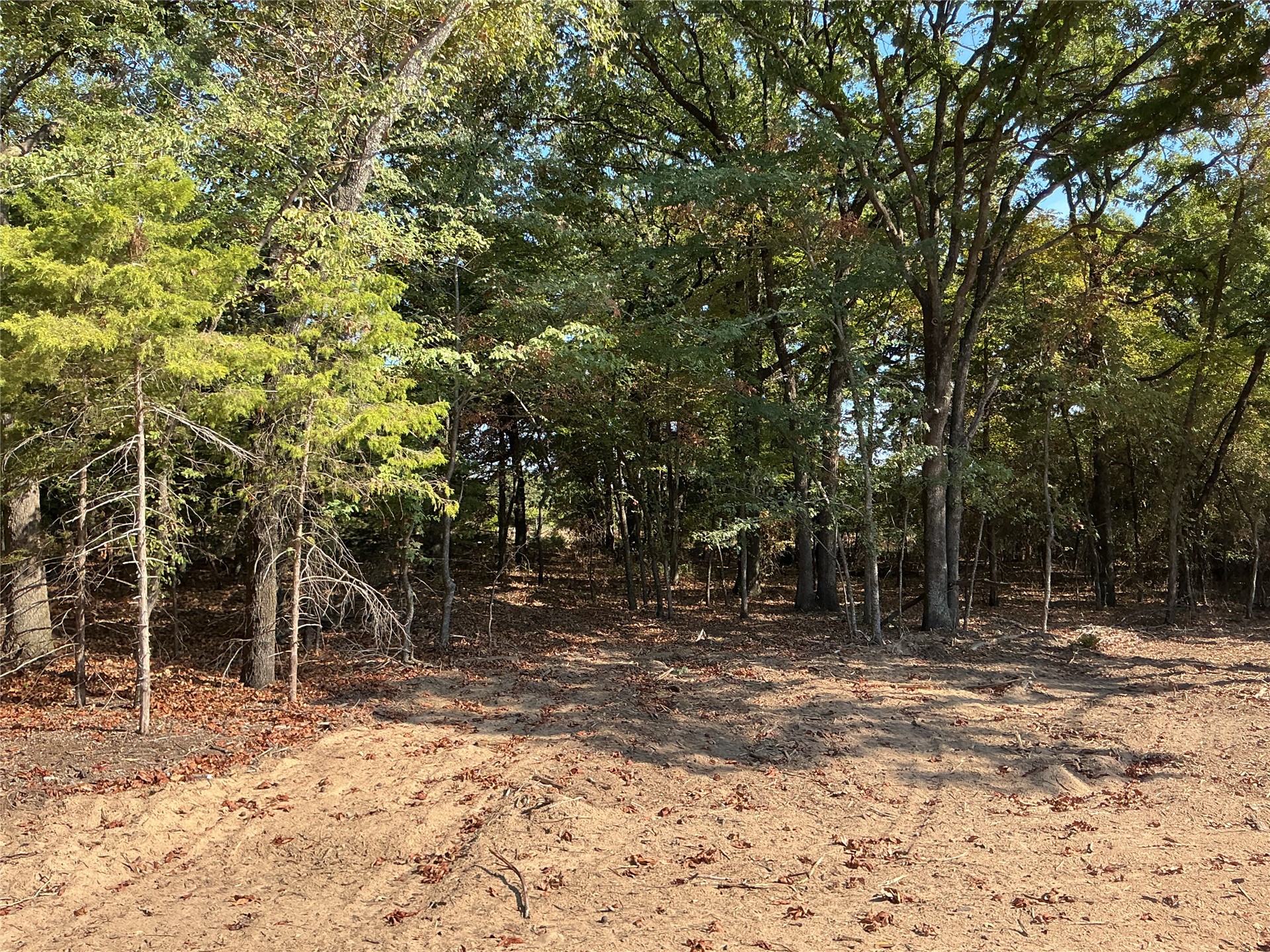 25 American Way Kingston, OK 73439 - Photo 7 of 8 Wooded acreage featuring mature trees