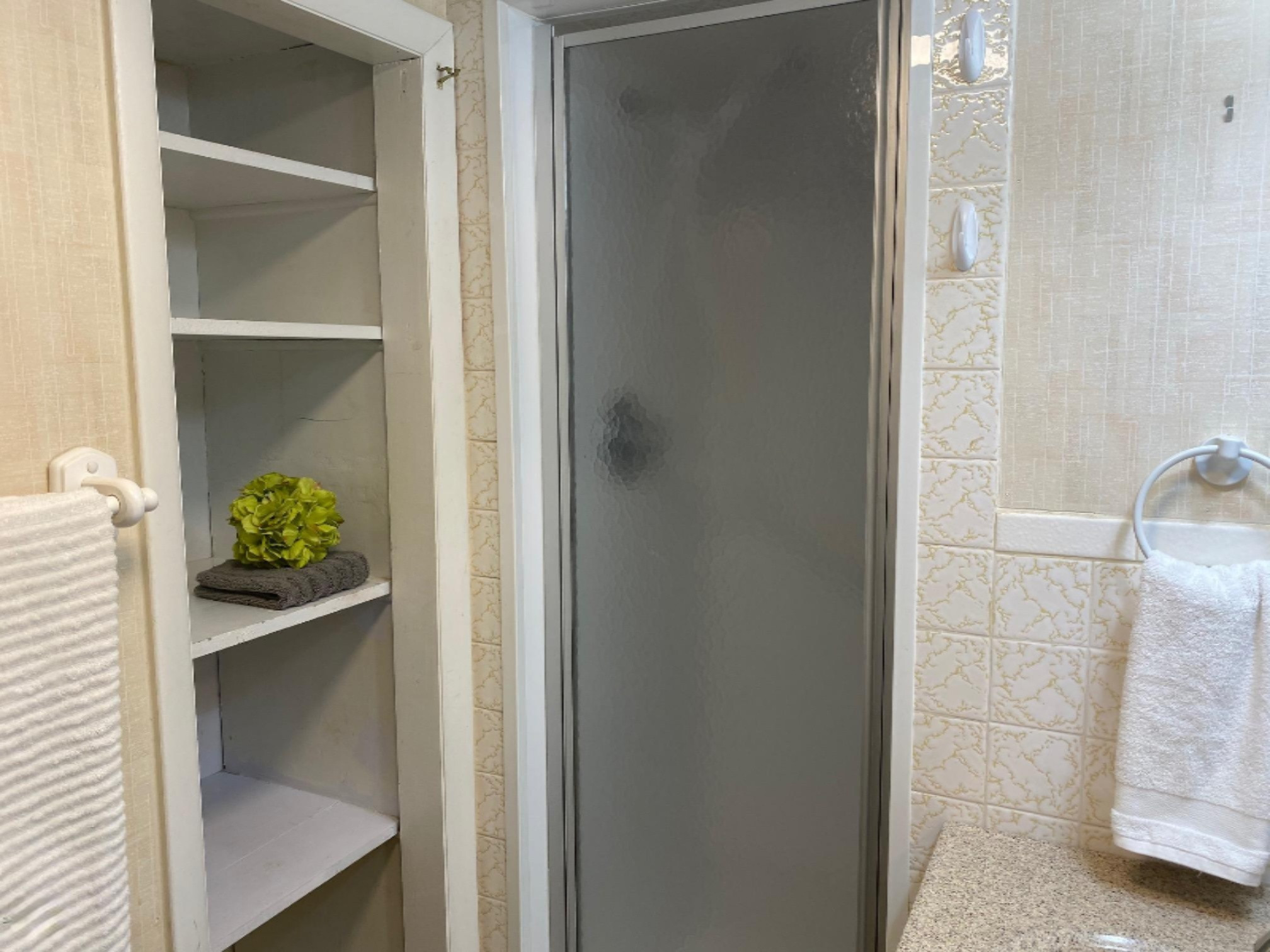 74 Rondale Lane Battle Creek, MI 49017 - Photo 21 of 38 Updated Shower in Lower Level