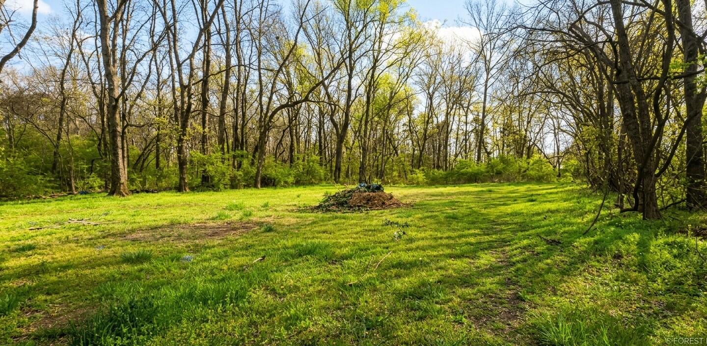 661 Long Street Dayton, TN 37321 - Photo 17 of 18 1774716683238
