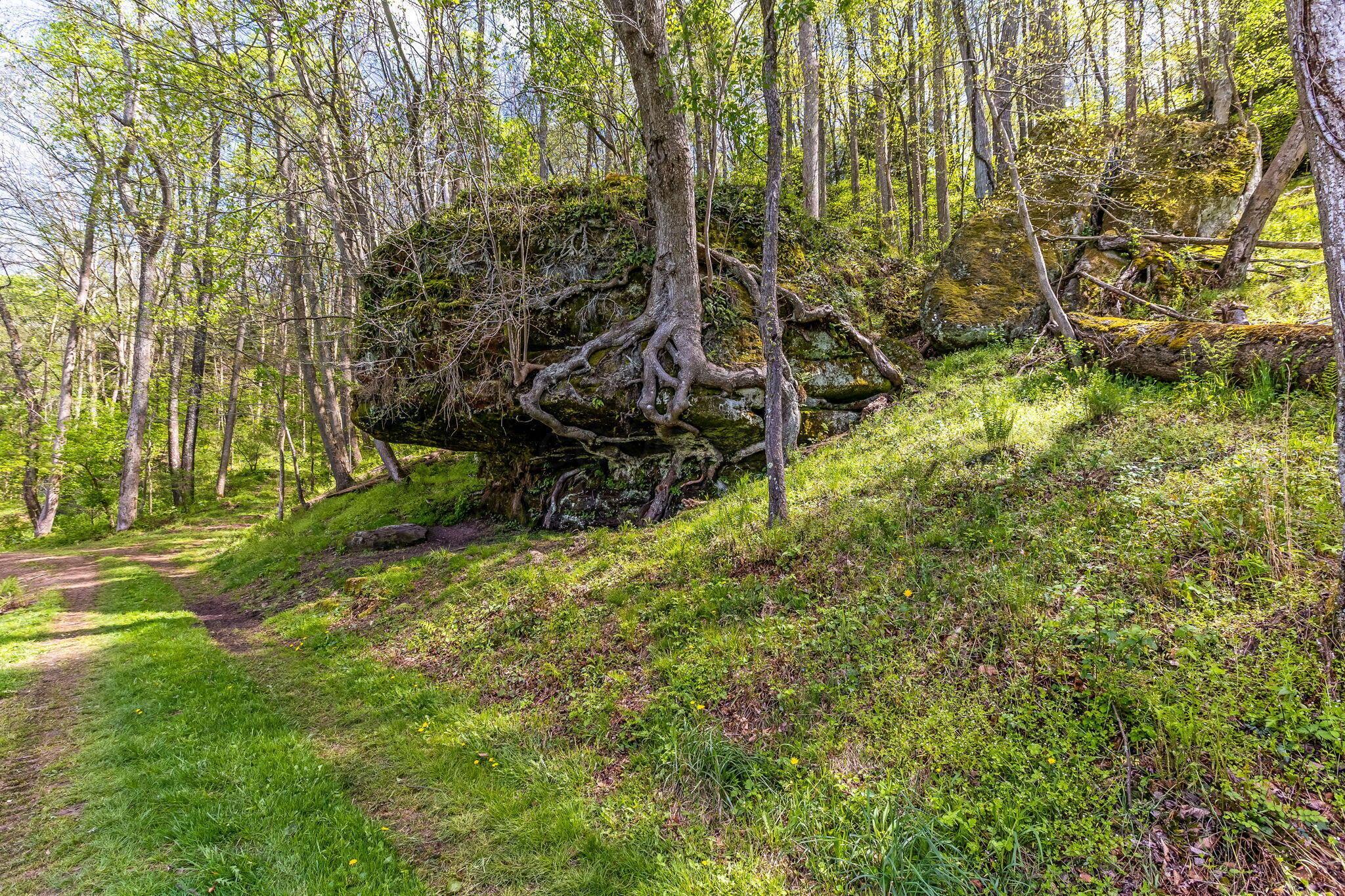 26019 Bailey Road Rockbridge, OH 43149 - Photo 77 of 110 76-web-or-mls-_S5A5248