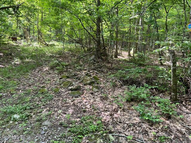 L34 Fred Jensen Road Middleburgh, NY 12122 - Photo 3 of 20 IMG_5689