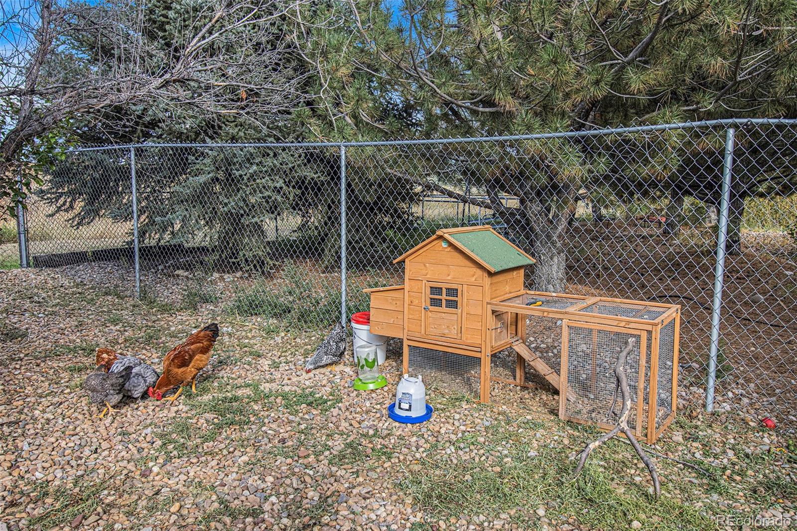1295 View Ridge Road Bennett, CO 80102 - Photo 36 of 40 Gallery Image 36