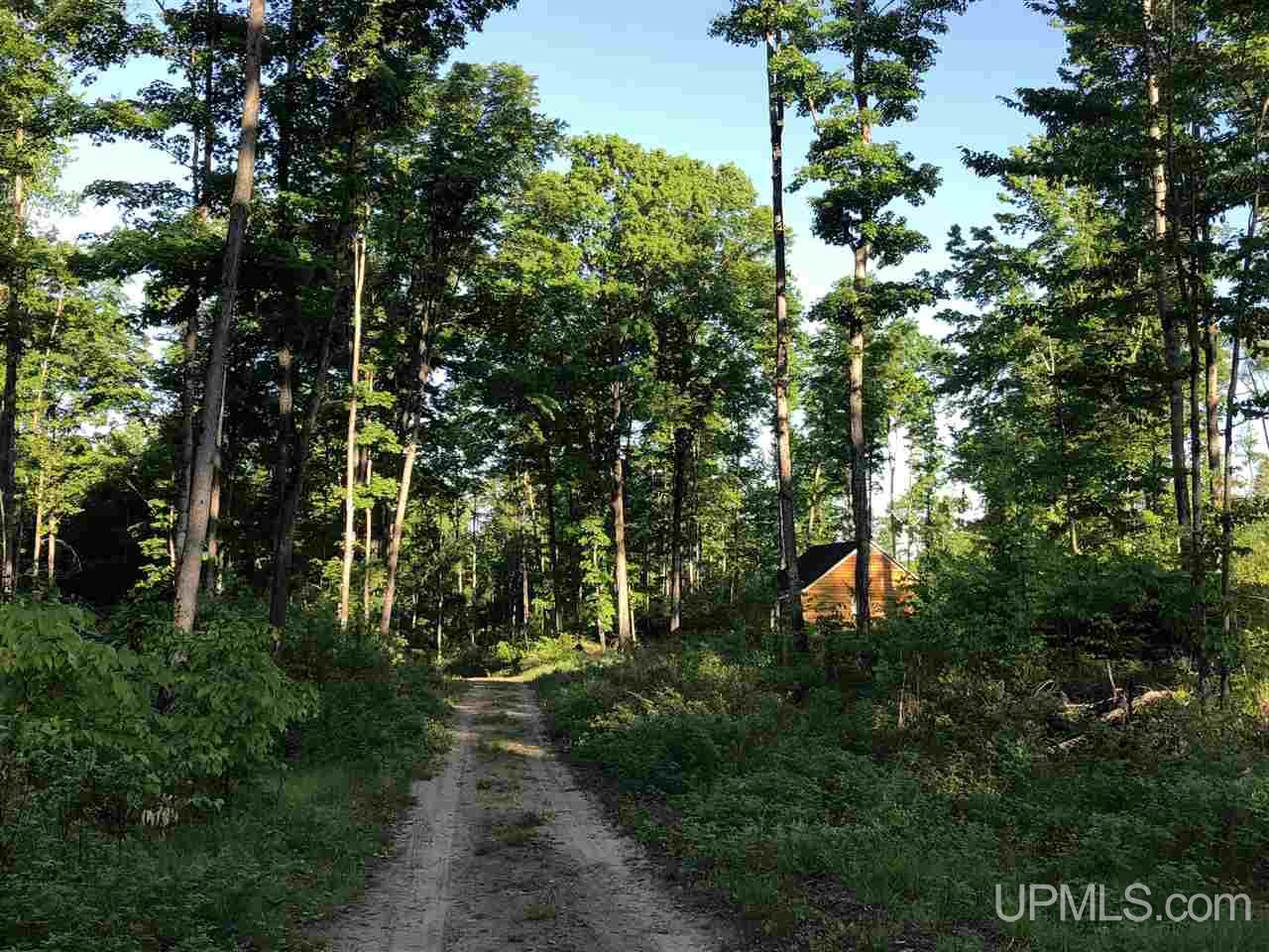 2353 Co Rd 442 Rapid River, MI 49878 - Photo 15 of 20