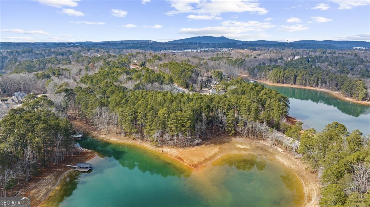 1460 Mary Alice Park Road Cumming, GA 30041 - Photo 2 of 14