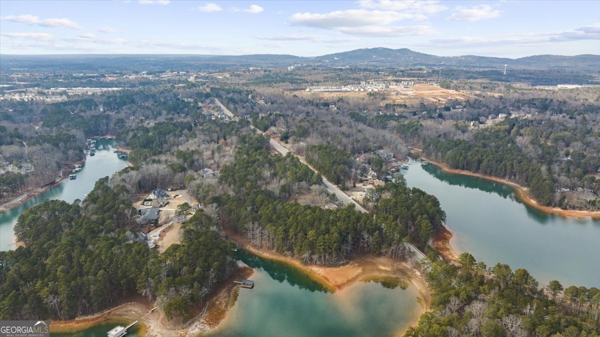 1460 Mary Alice Park Road Cumming, GA 30041 - Photo 7 of 14