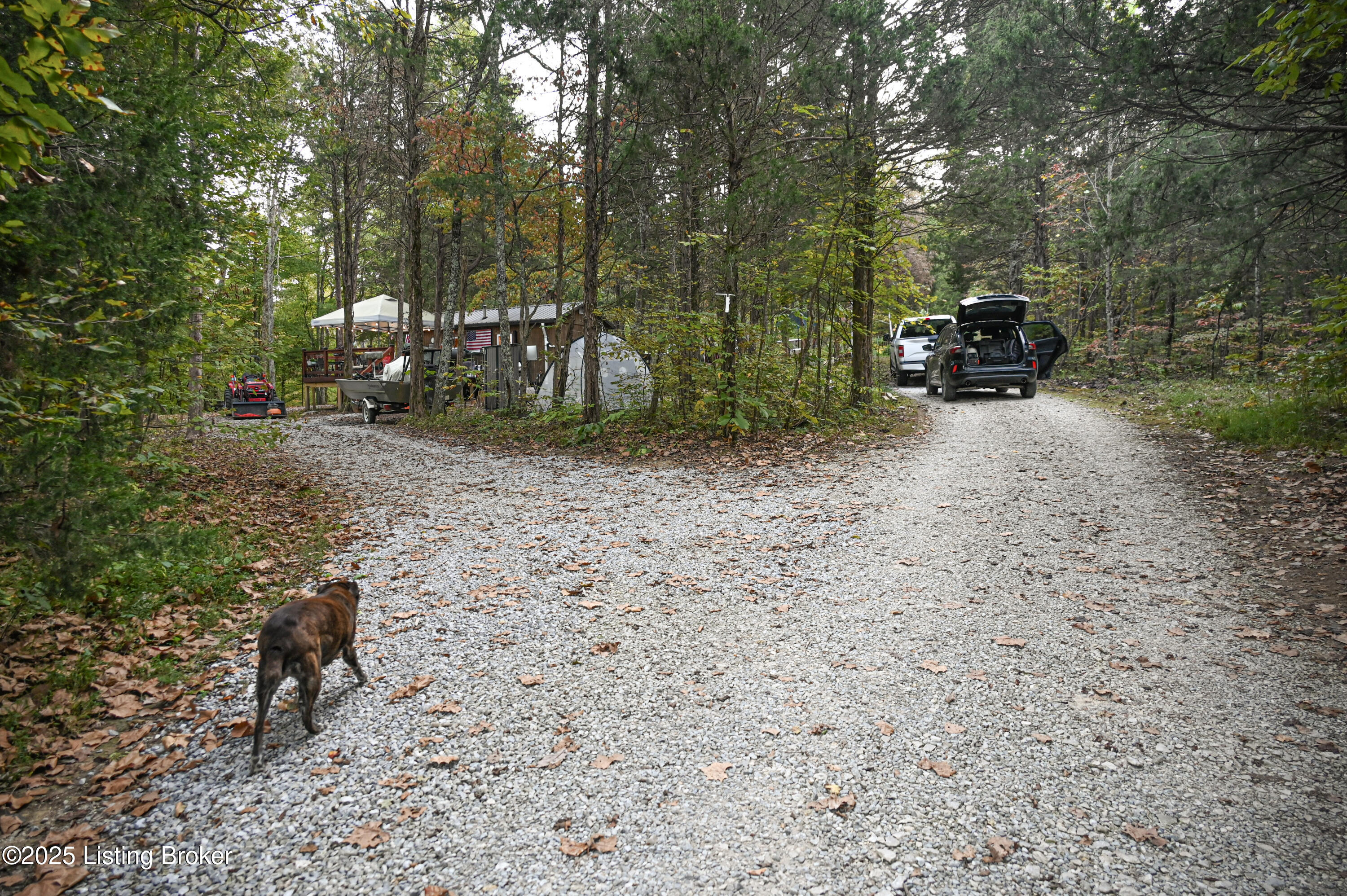981 Limp Road Big Clifty, KY 42712 - Photo 13 of 44 1-DSC_0878