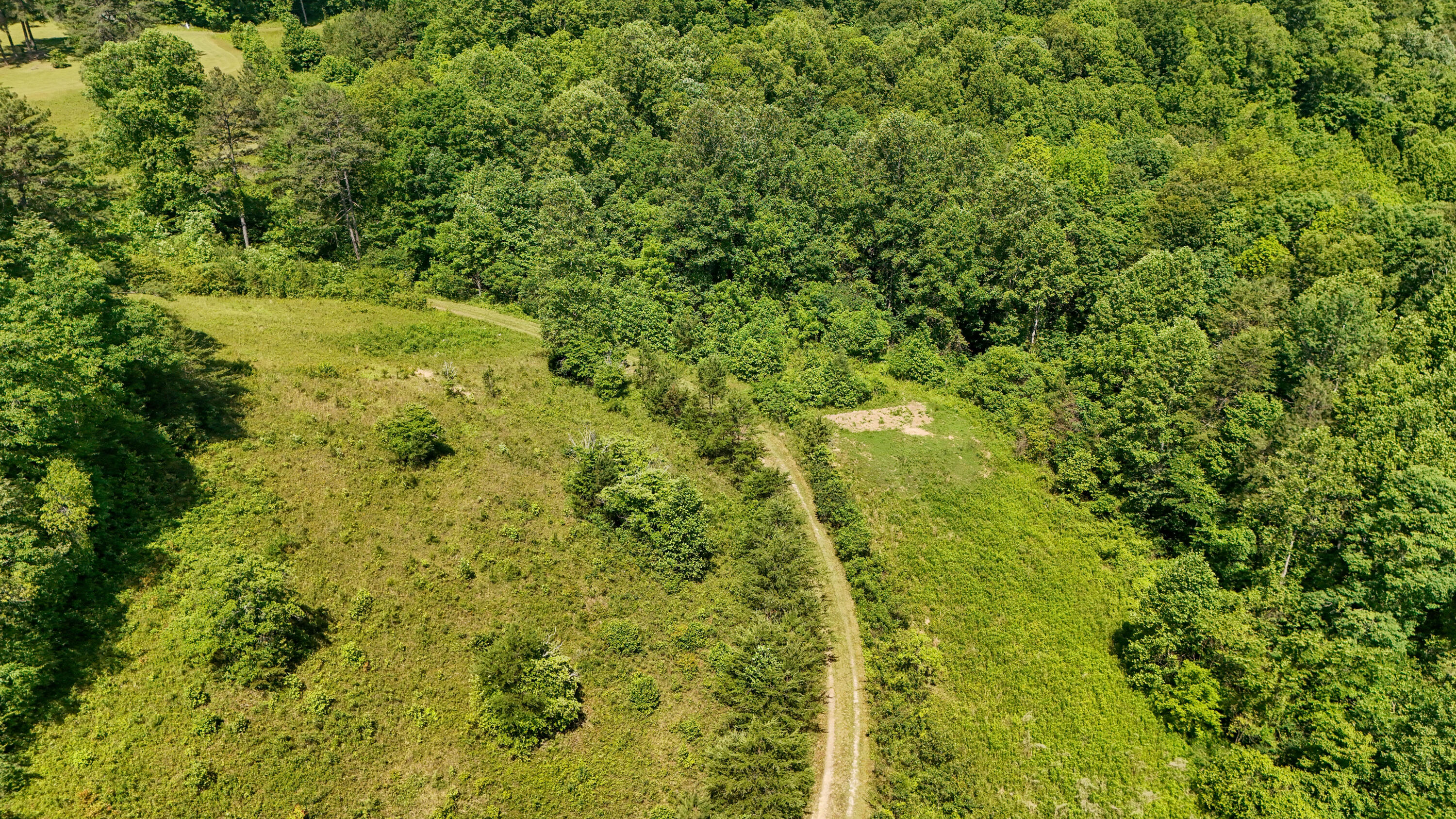 0 Birch Hollow Road Livingston, KY 40445 - Photo 22 of 38 LightroomRealEstateEdits-21