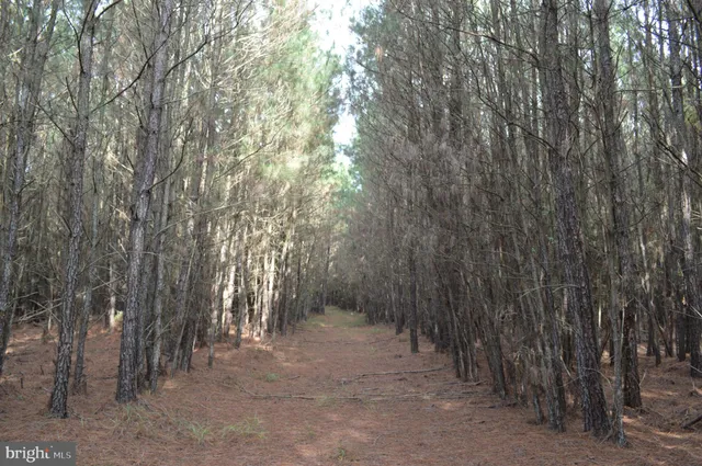 $250,000 | 24959 Collins Wharf Road, Eden, MD 21822