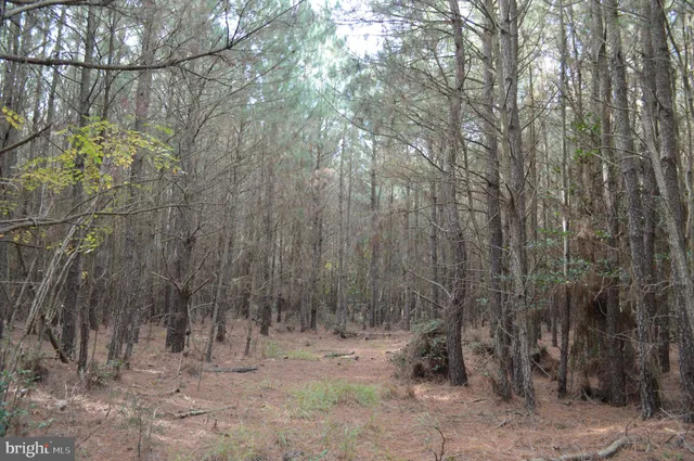 $250,000 | 24959 Collins Wharf Road, Eden, MD 21822