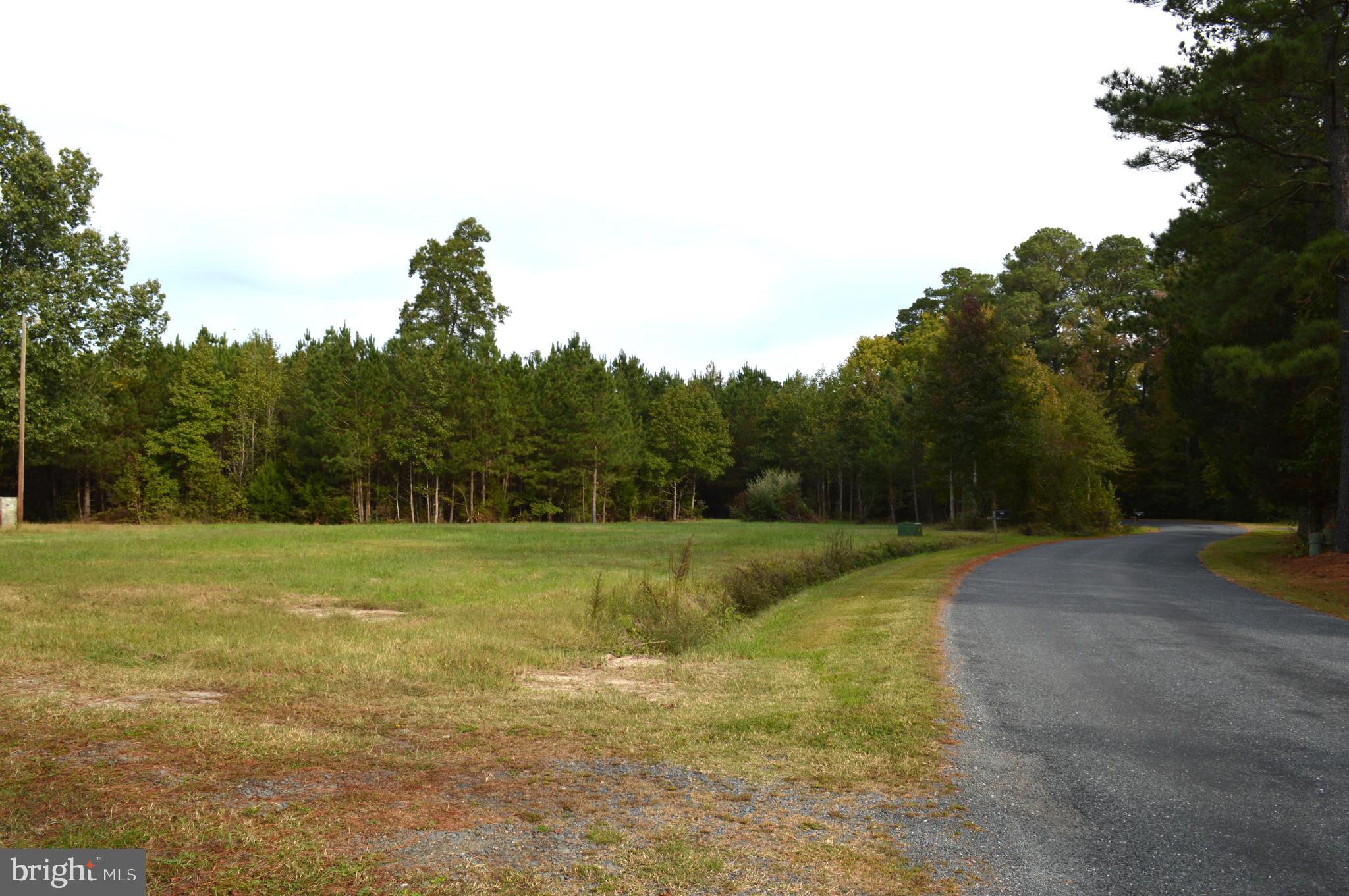 24959 Collins Wharf Road Eden, MD 21822 - Photo 16 of 16 a view of a field with trees in the background