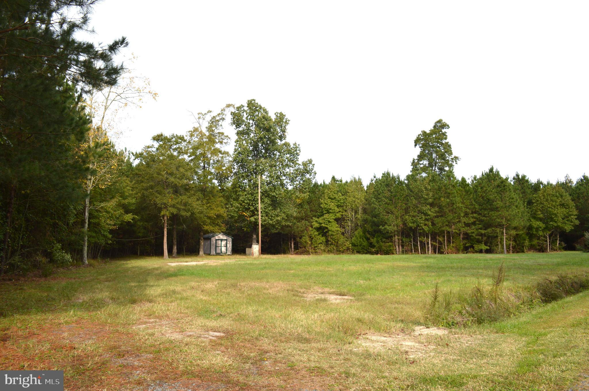 24959 Collins Wharf Road Eden, MD 21822 - Photo 4 of 16 a view of a field with trees in the background