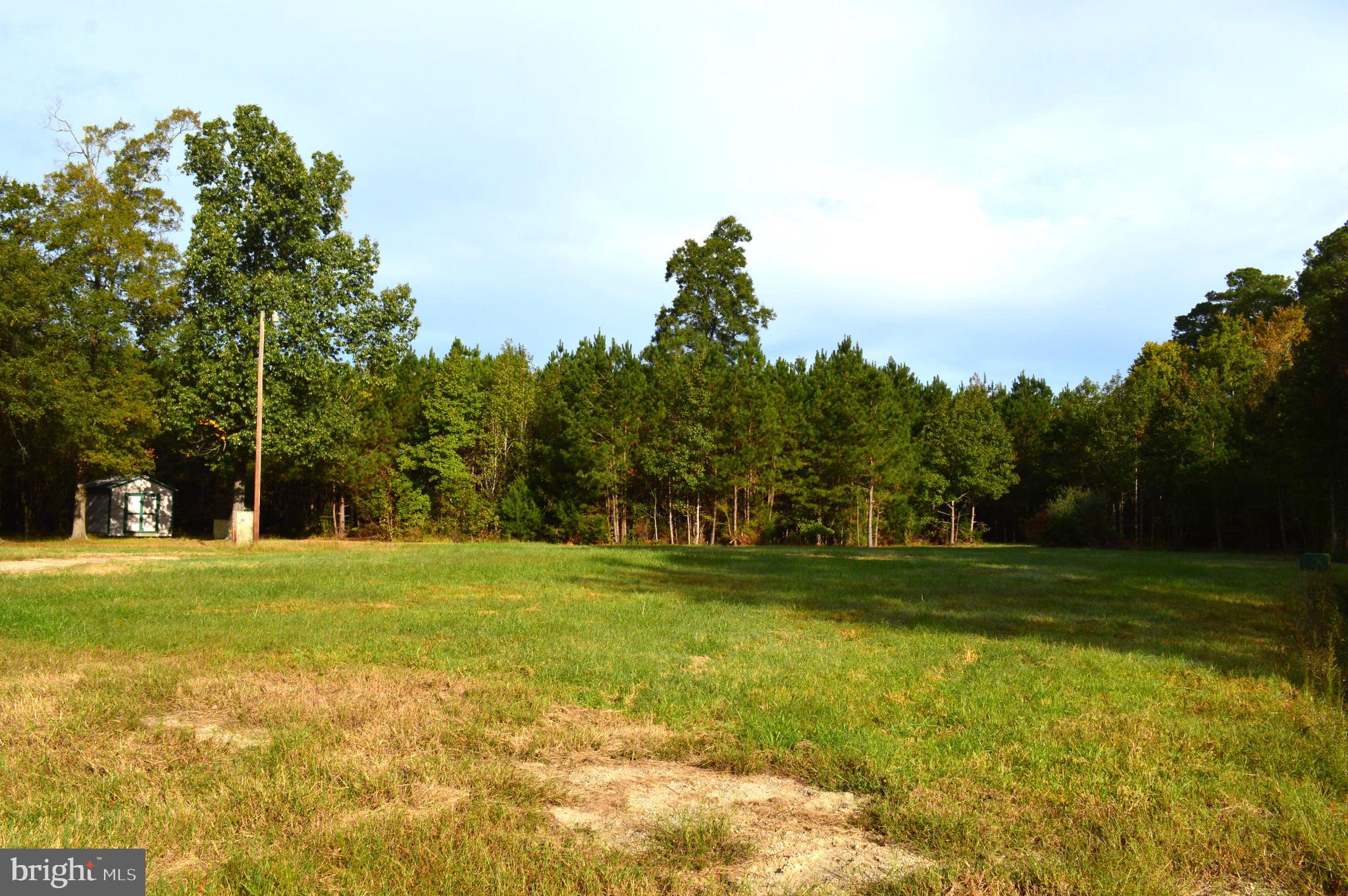24959 Collins Wharf Road Eden, MD 21822 - Photo 5 of 16 a view of a big yard with a large trees