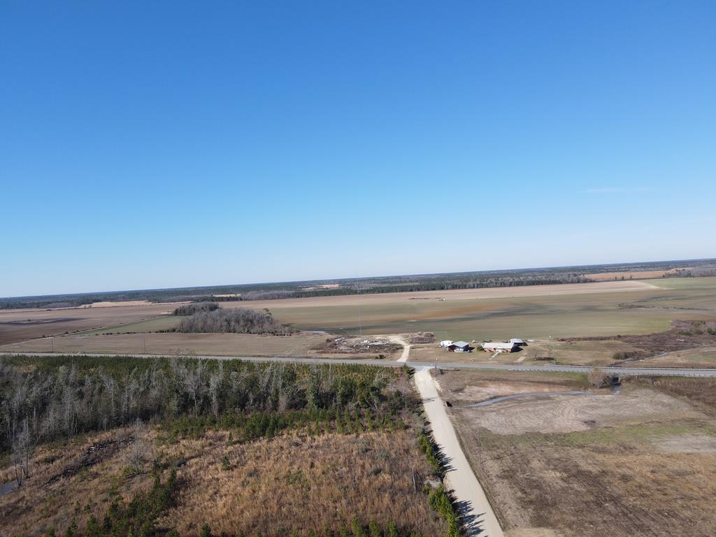 40 Davis Peacock Road Wewahitchka, FL 32449 - Photo 11 of 22
