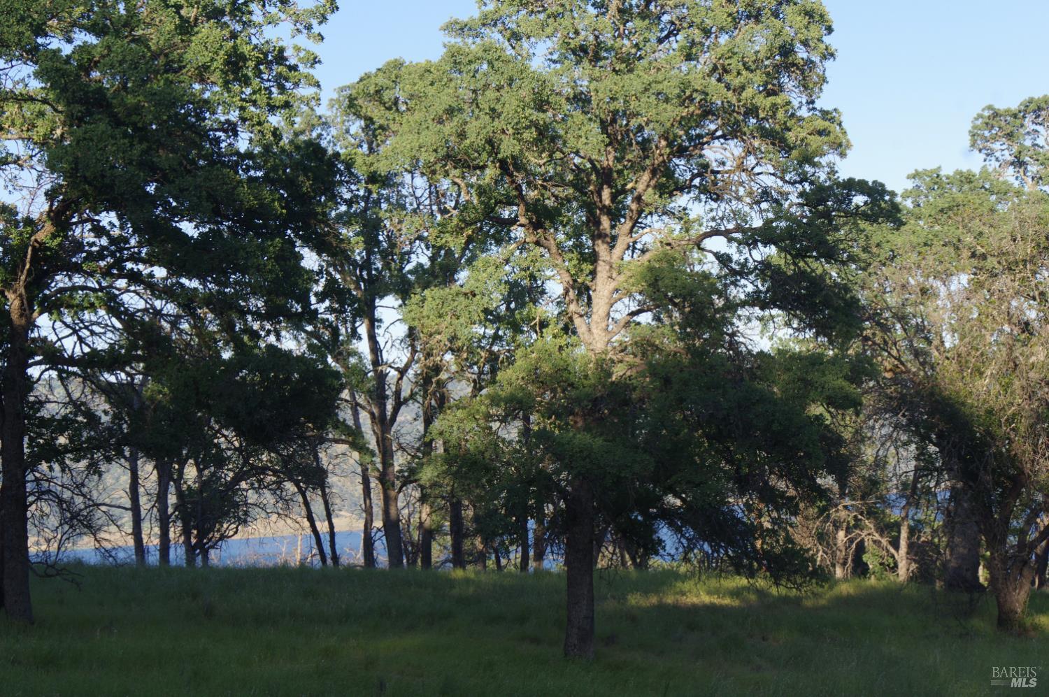0 Knoxville Road Napa, CA 94558 - Photo 11 of 14