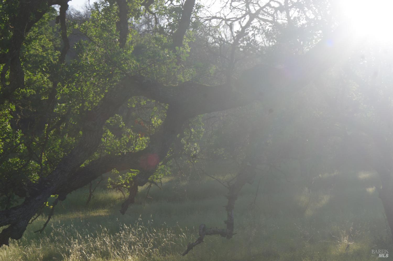 0 Knoxville Road Napa, CA 94558 - Photo 2 of 14
