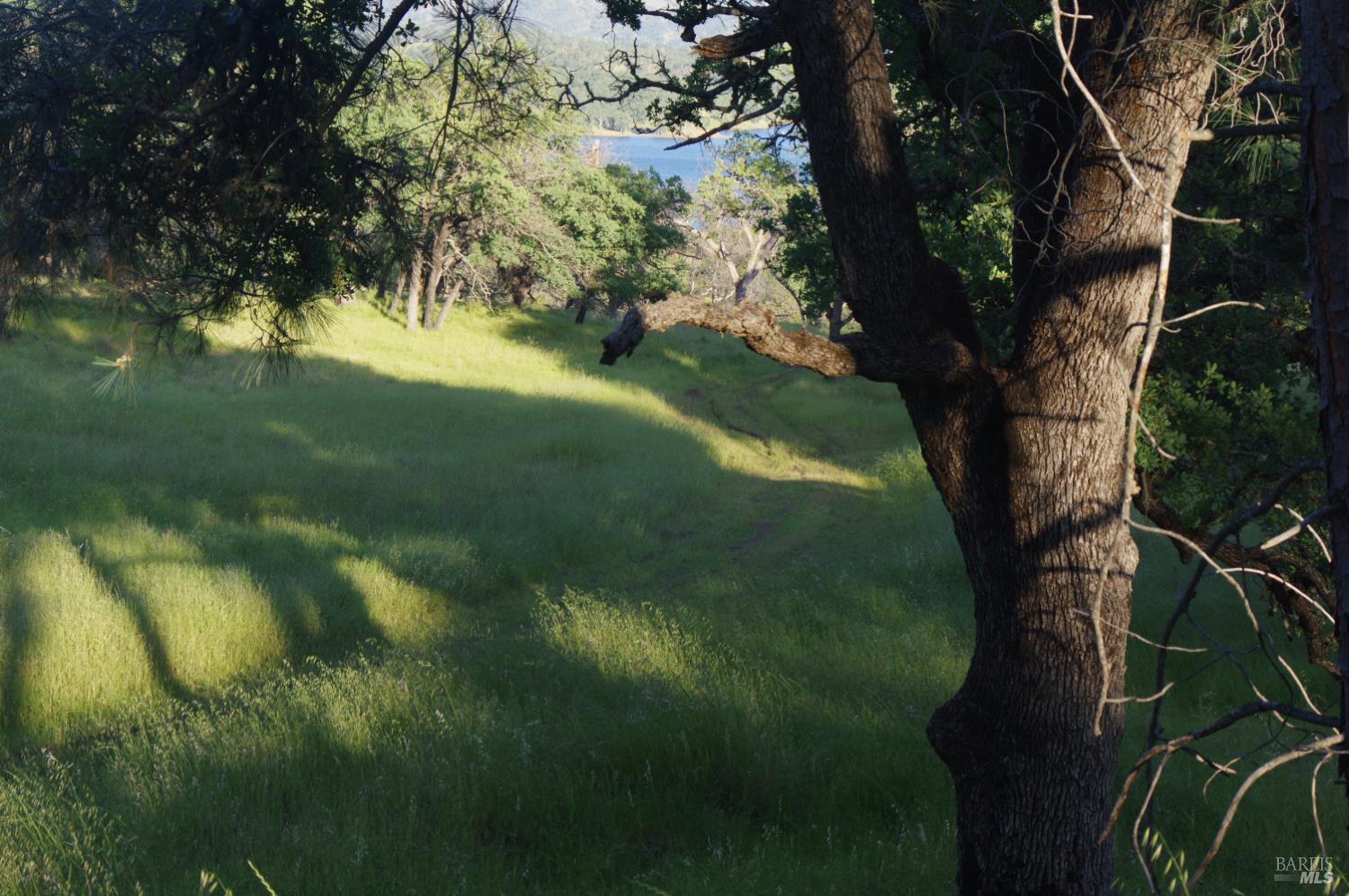 0 Knoxville Road Napa, CA 94558 - Photo 10 of 14