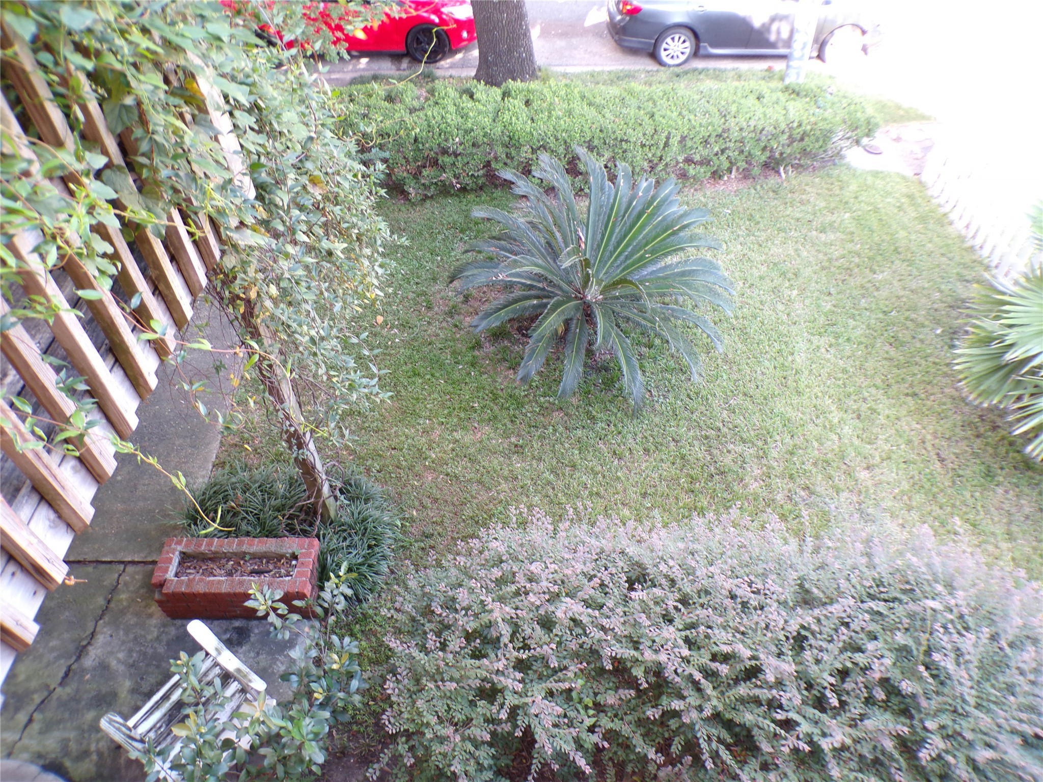 3416 Morrison Street, Unit 7 Houston, TX 77009 - Photo 21 of 21