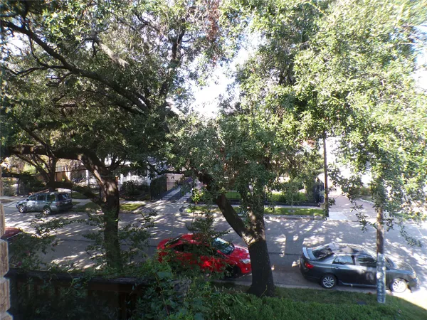 a view of a tree in a yard