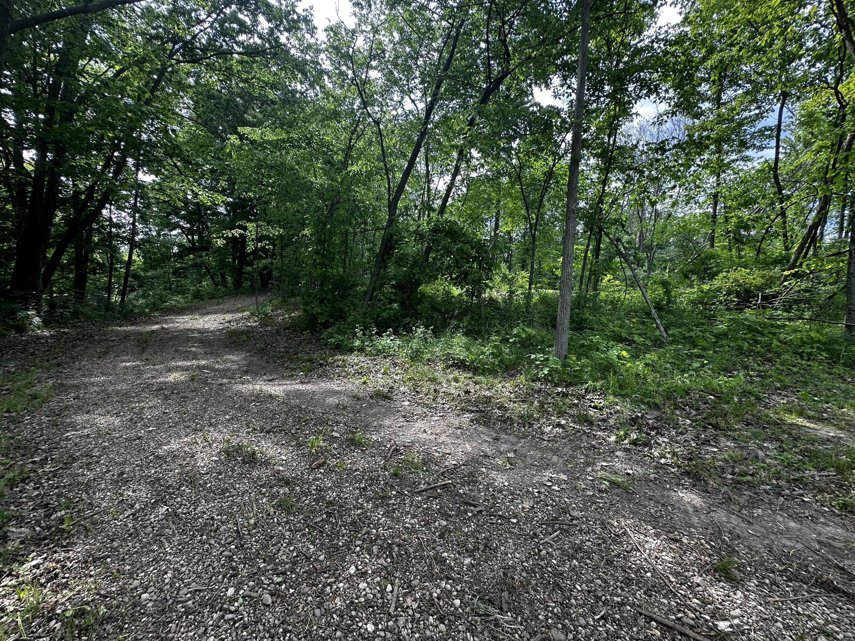 South Norris Road Delton, MI 49046 - Photo 12 of 13 IMG_0964