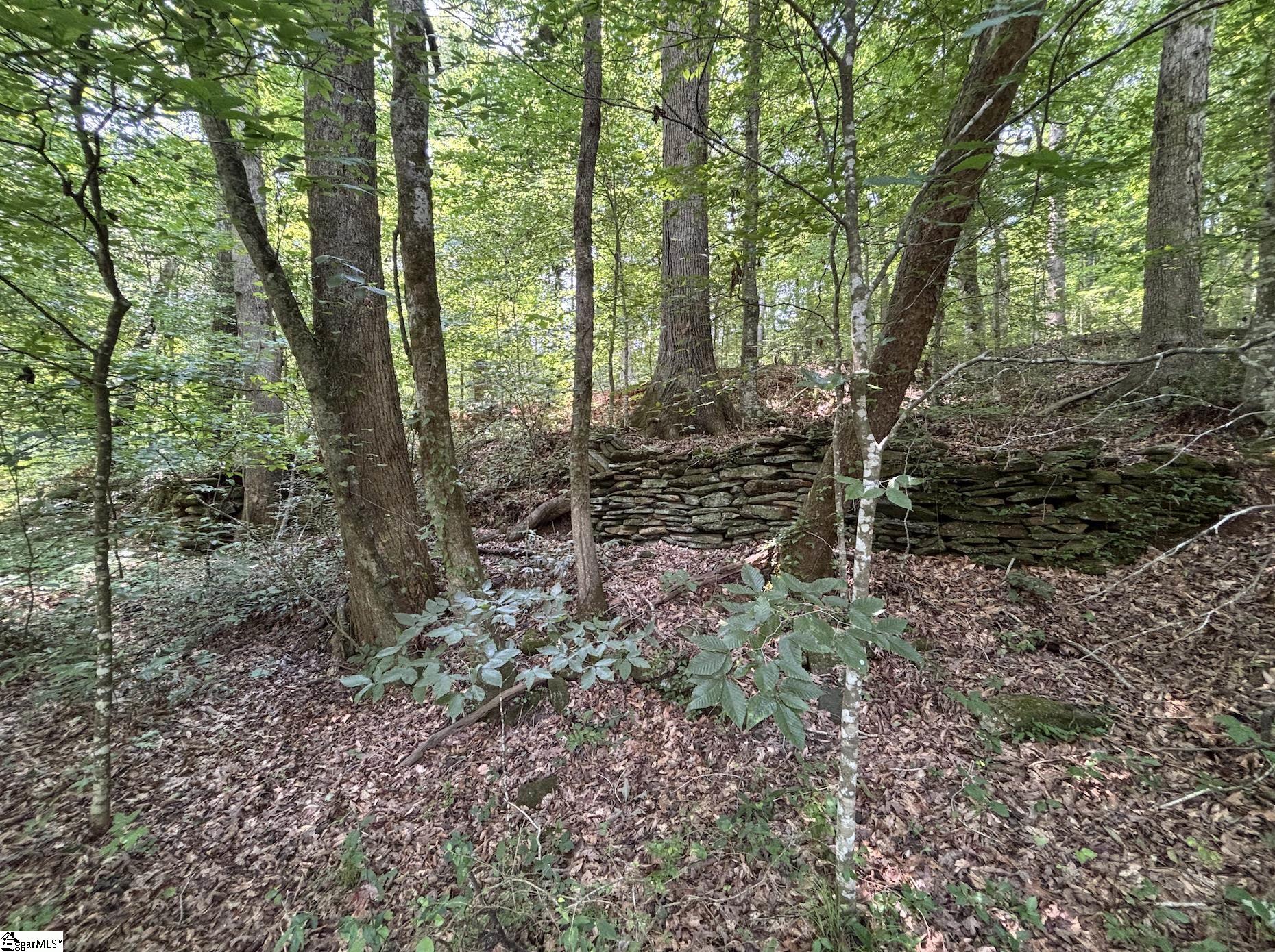 199 Johns Mill Road Westminster, SC 29693 - Photo 12 of 24