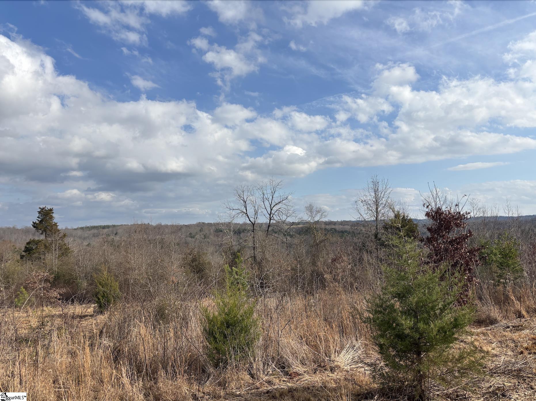 199 Johns Mill Road Westminster, SC 29693 - Photo 15 of 24