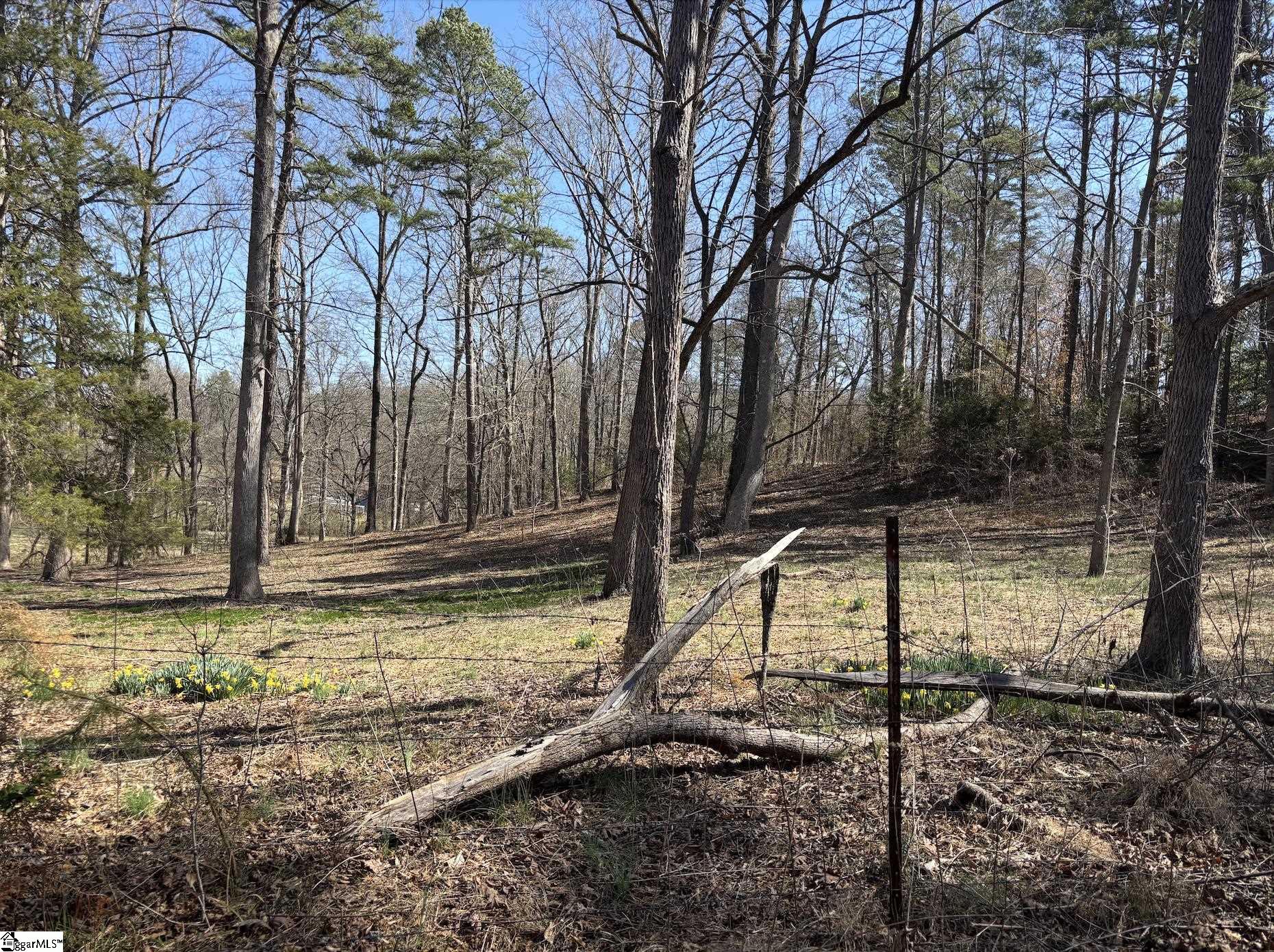 199 Johns Mill Road Westminster, SC 29693 - Photo 17 of 24