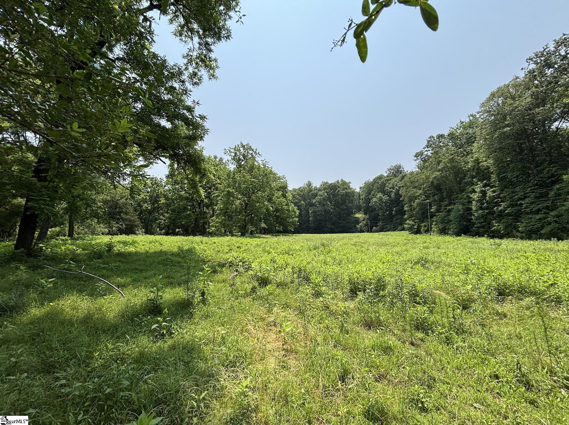 199 Johns Mill Road Westminster, SC 29693 - Photo 8 of 24