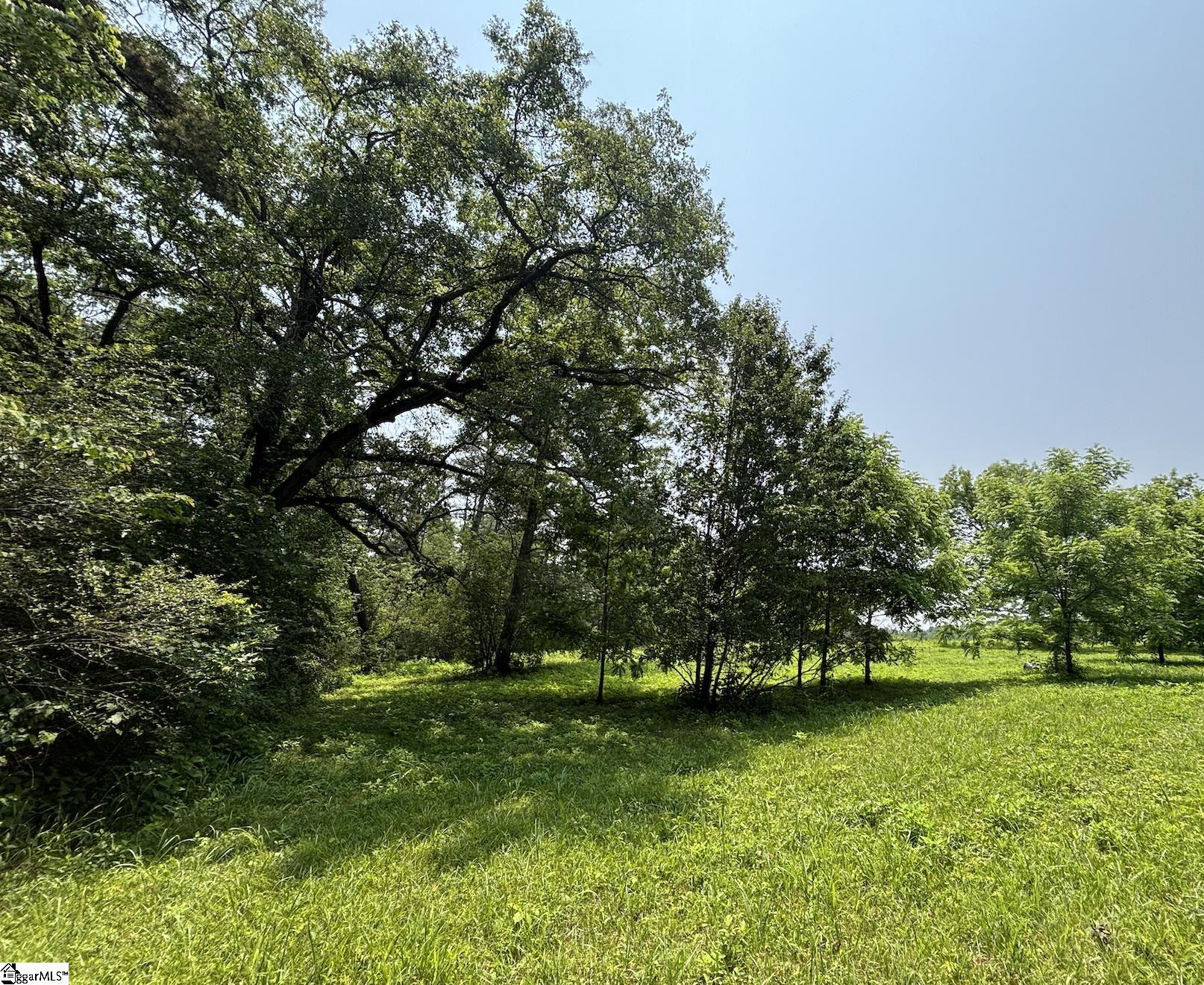 199 Johns Mill Road Westminster, SC 29693 - Photo 10 of 24