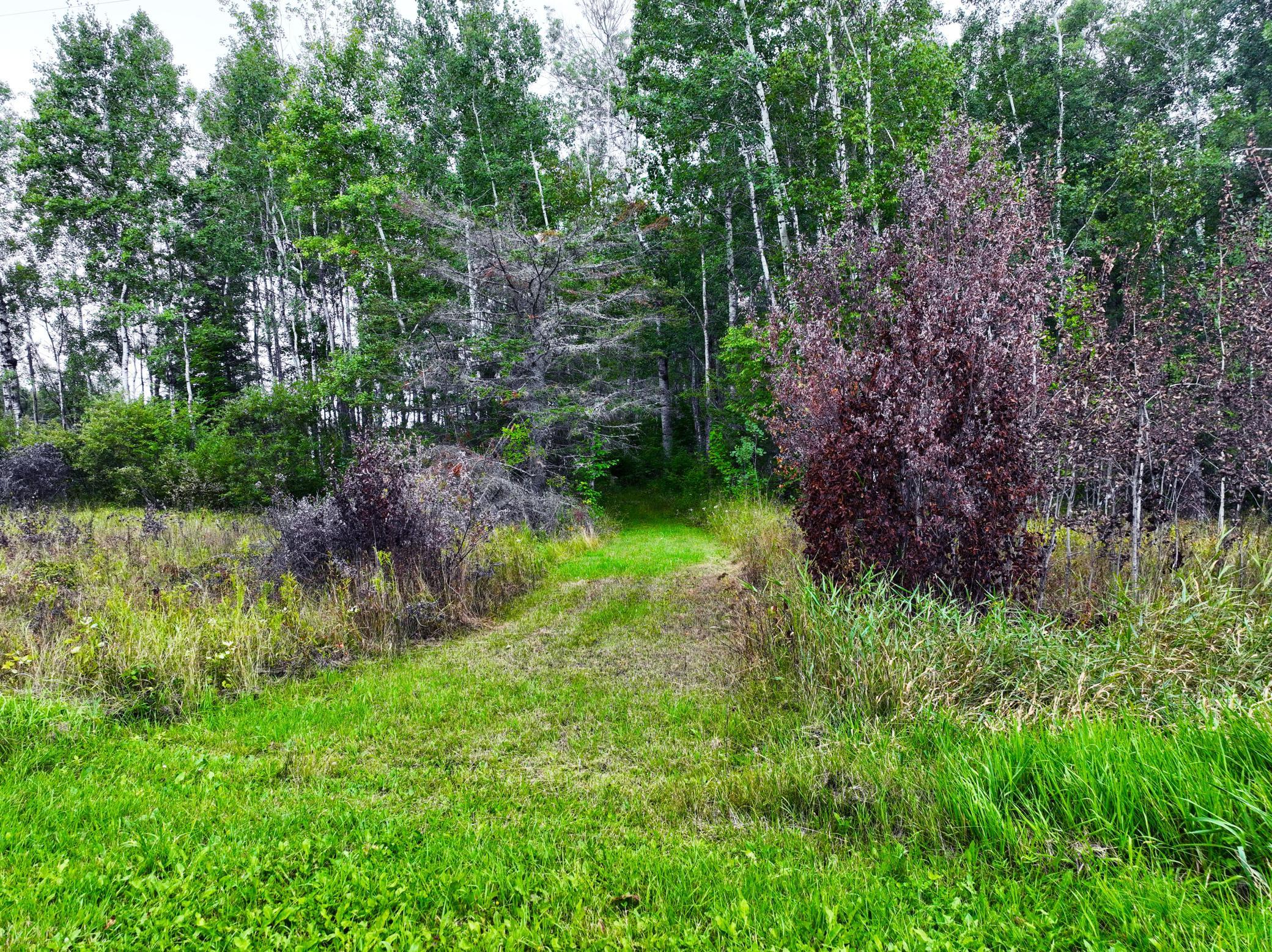 9128 Peary Junction Road Cotton, MN 55724 - Photo 14 of 15