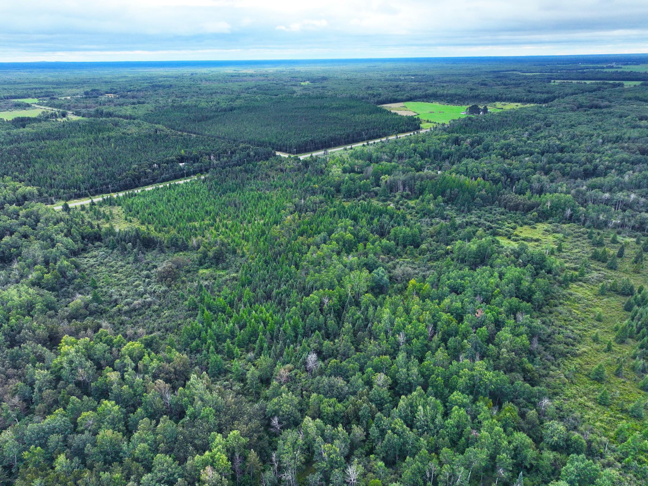 9128 Peary Junction Road Cotton, MN 55724 - Photo 7 of 15