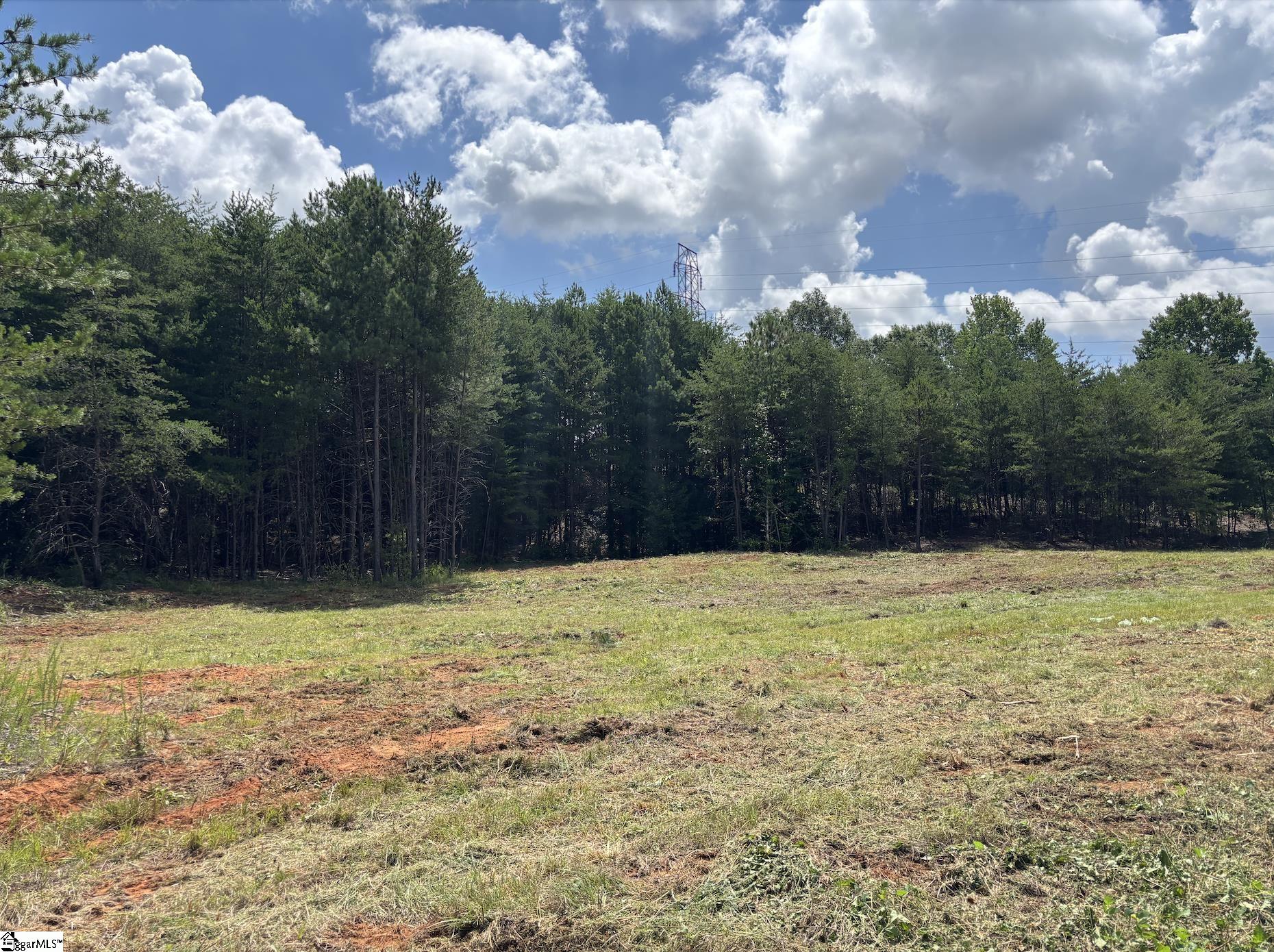 0 New Woodruff Road Greer, SC 29651 - Photo 5 of 13