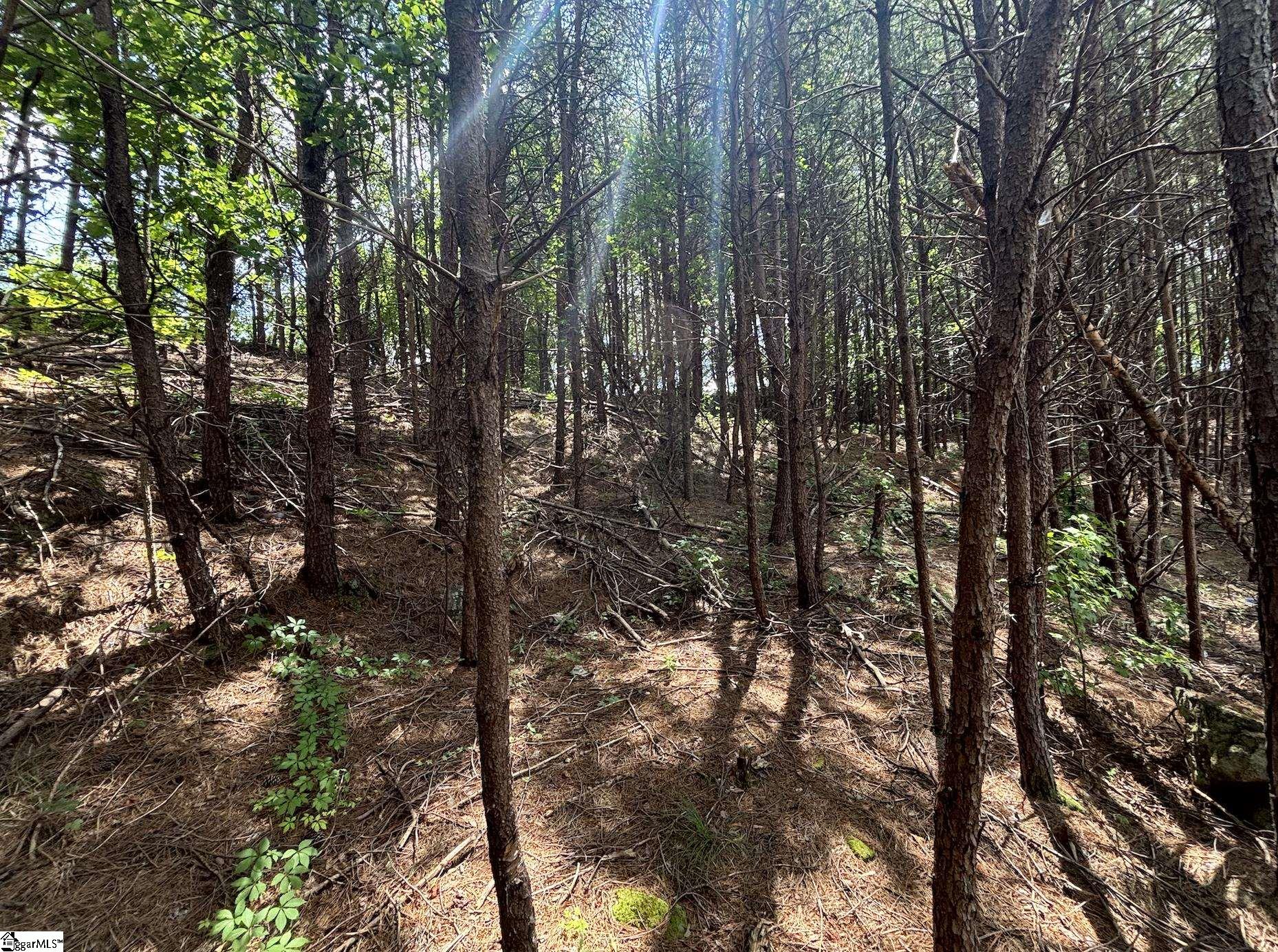 0 New Woodruff Road Greer, SC 29651 - Photo 8 of 13