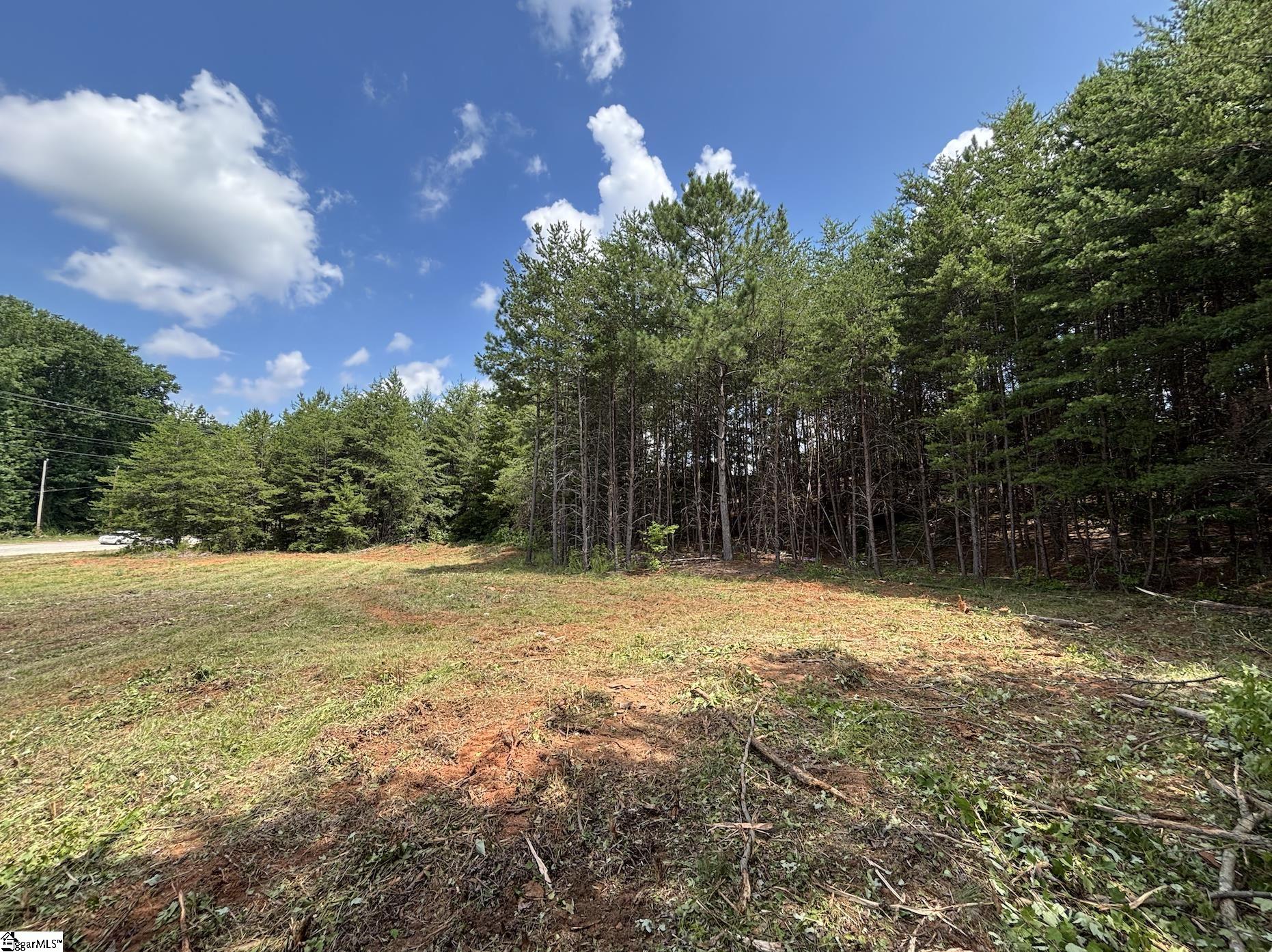 0 New Woodruff Road Greer, SC 29651 - Photo 10 of 13