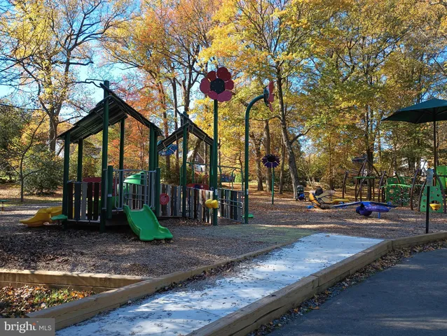 a view of a park with large trees