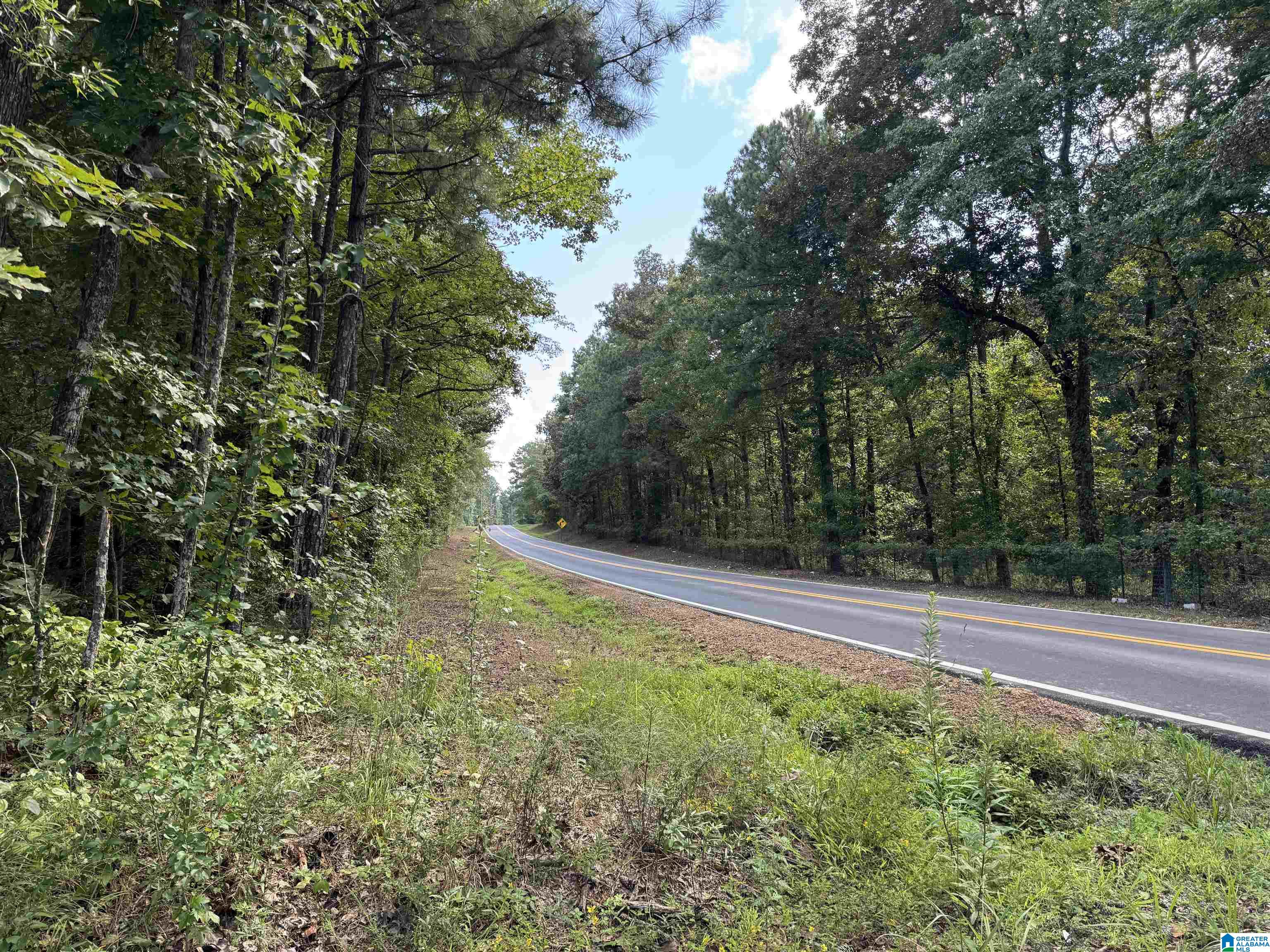 20394 County Road 55 Sterrett, AL 35147 - Photo 43 of 43
