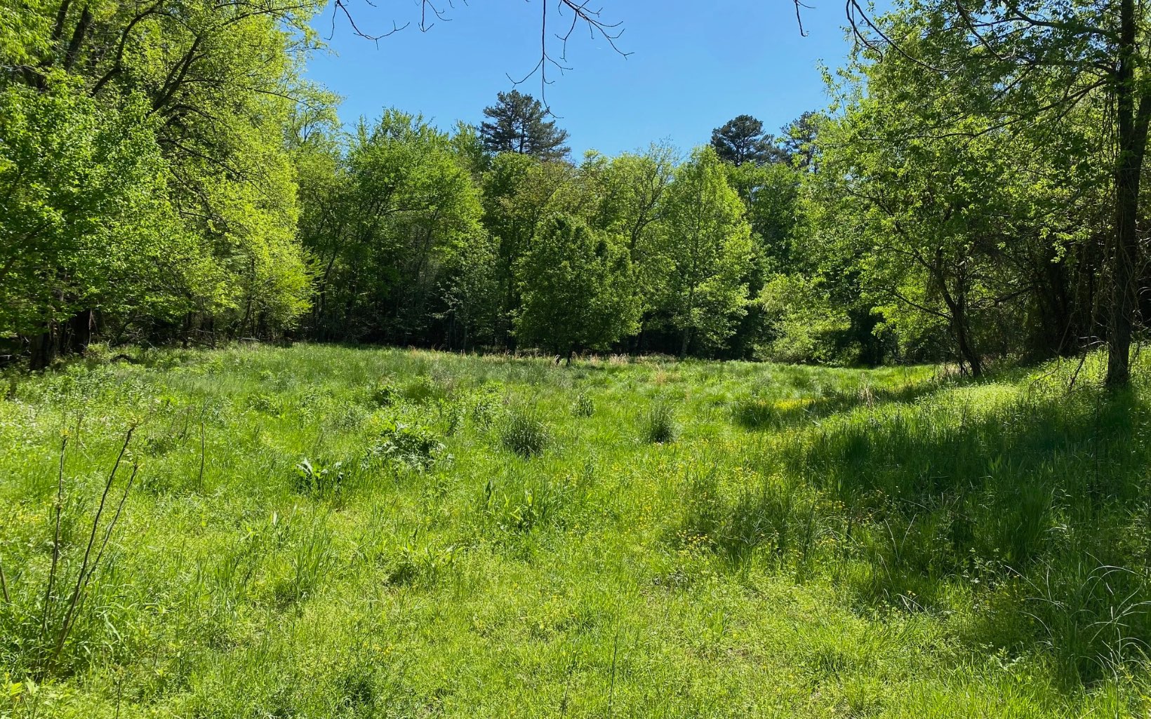 Friendship Road Mineral Bluff, GA 30559 - Photo 1 of 4 Main View