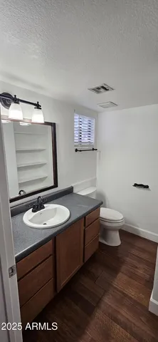a bathroom with a sink a toilet and mirror