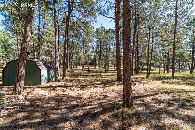 7275 McShane Road Colorado Springs, CO 80908 - Photo 32 of 46
