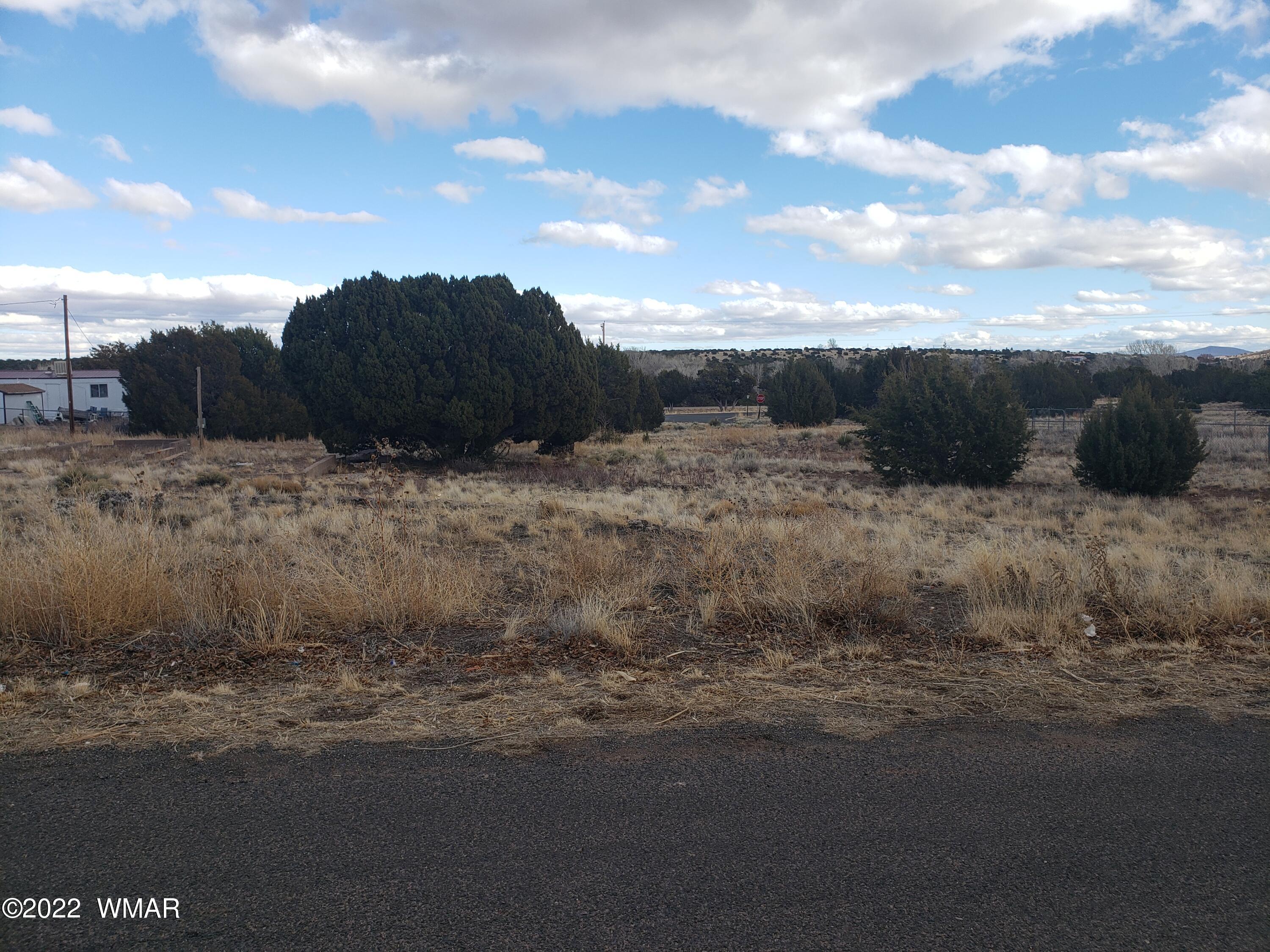 119 Frontage Road Concho, AZ 85924 - Photo 2 of 4